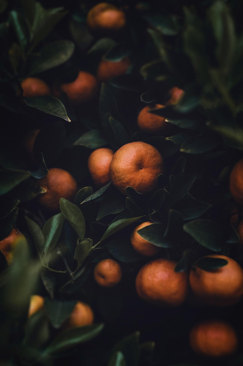 CITRUS