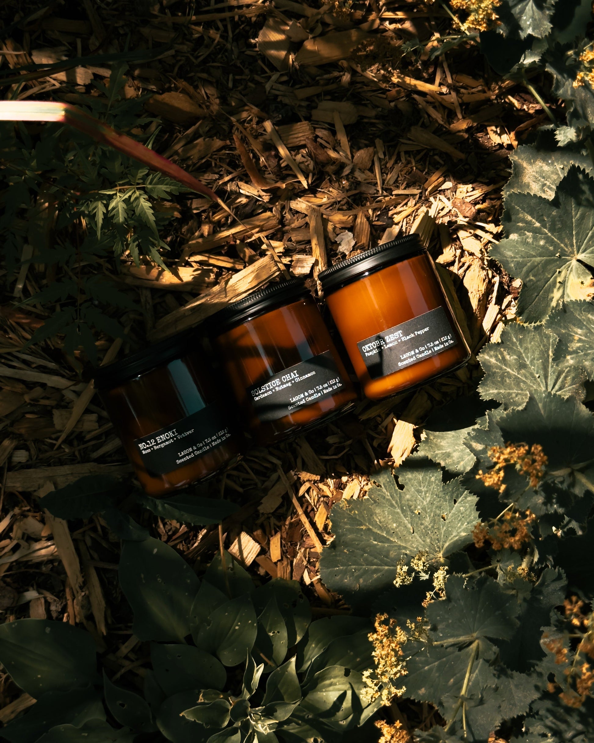 The ultimate Cozy Bundle